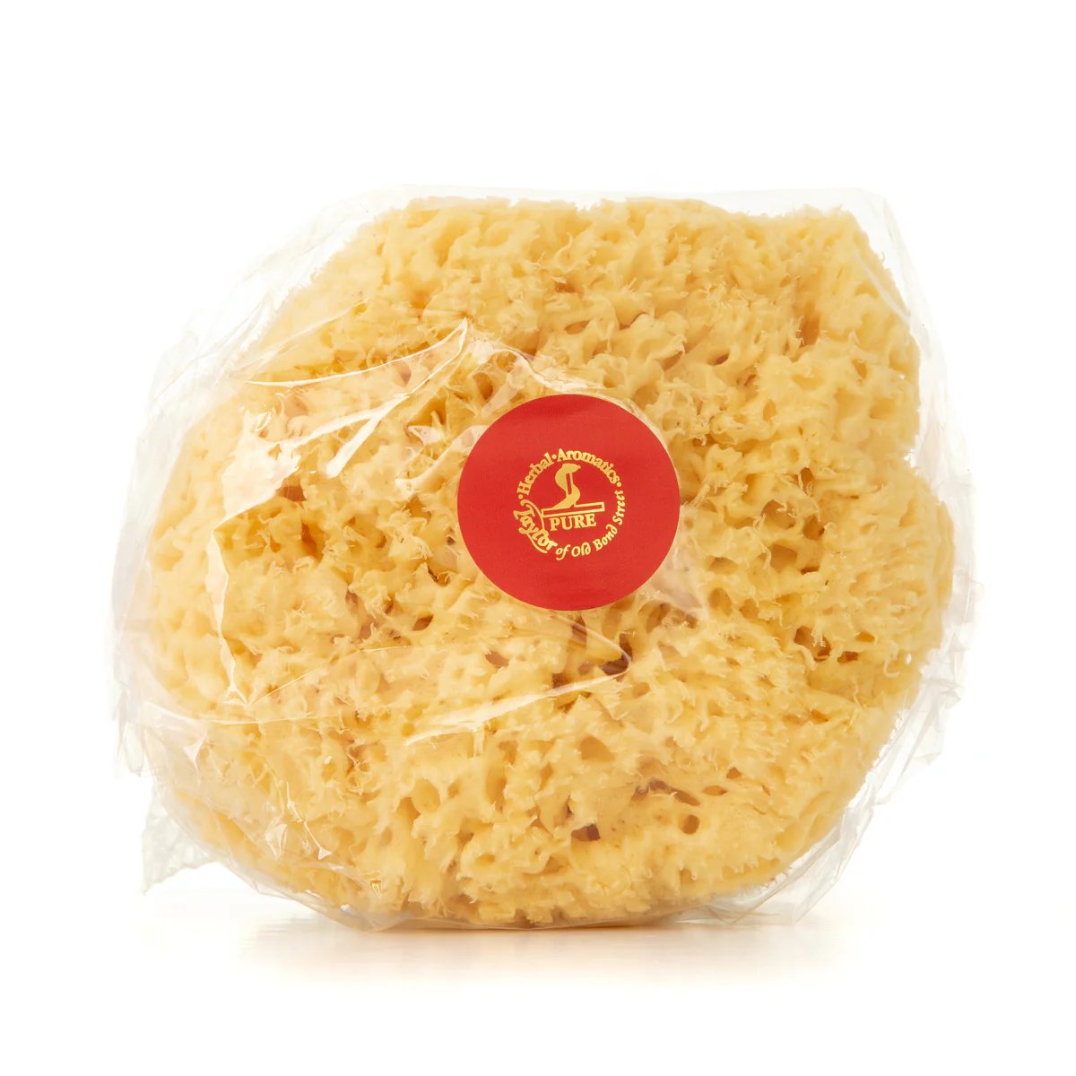 Large Sponge