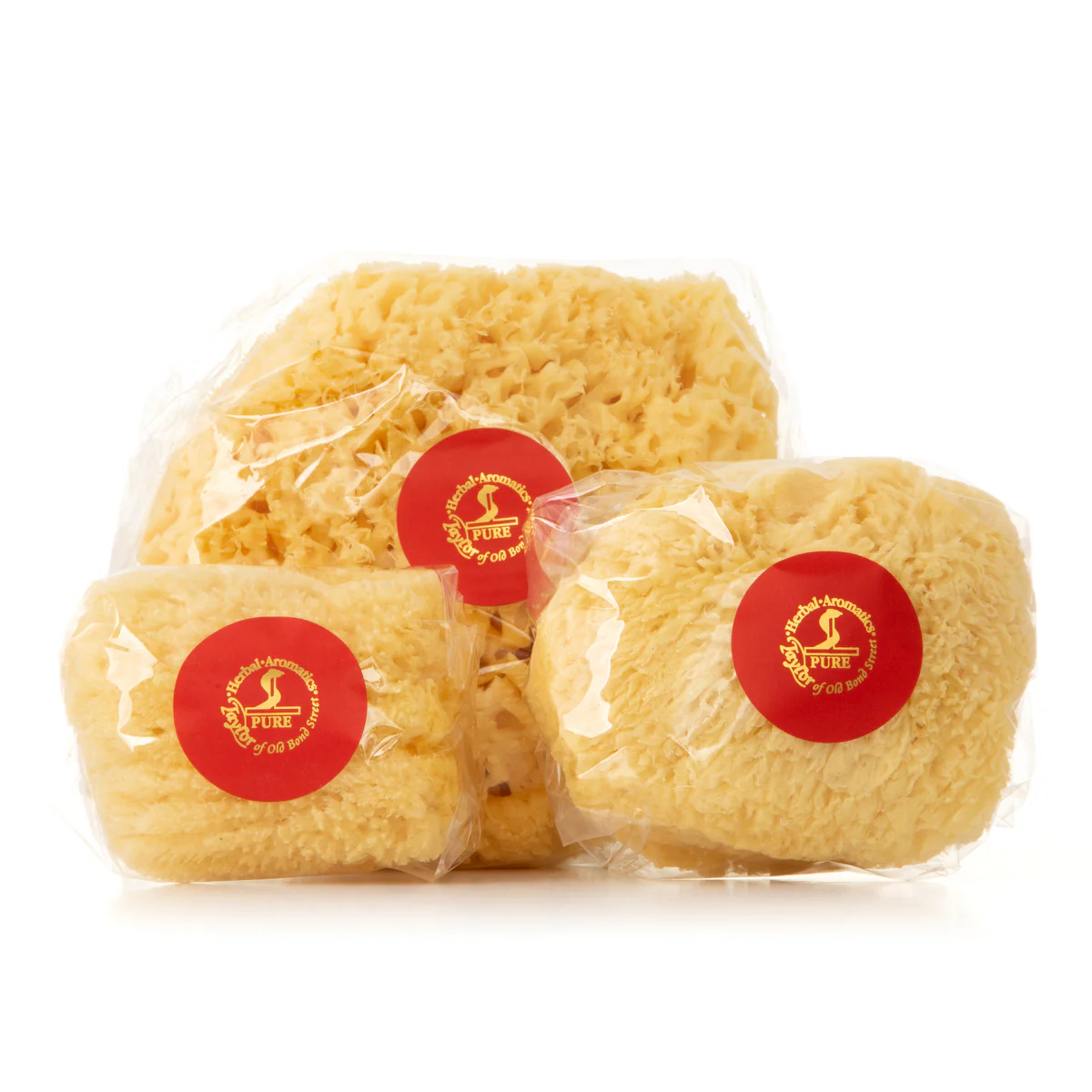 Large Sponge - Image 2